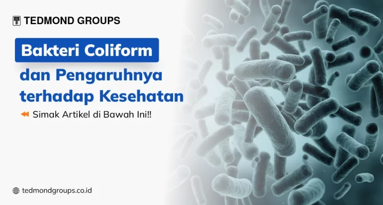 Pengaruh Bakteri Coliform