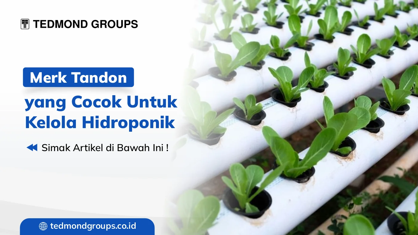 Merk tandon yang cocok untuk kelola hidroponik