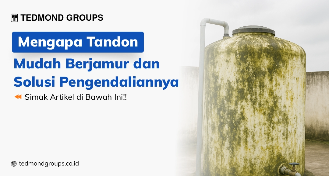 Mengapa tandon mudah berjamur dan solusi pengendaliannya