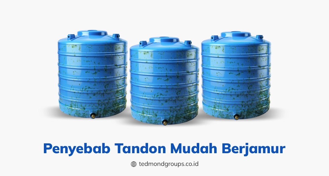 Penyebab tandon mudah berjamur