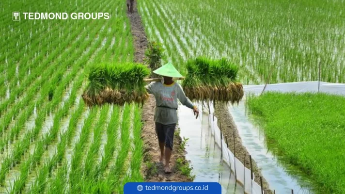 Faktor pertimbangan utama memilih tangki air untuk pertanian dan perkebunan