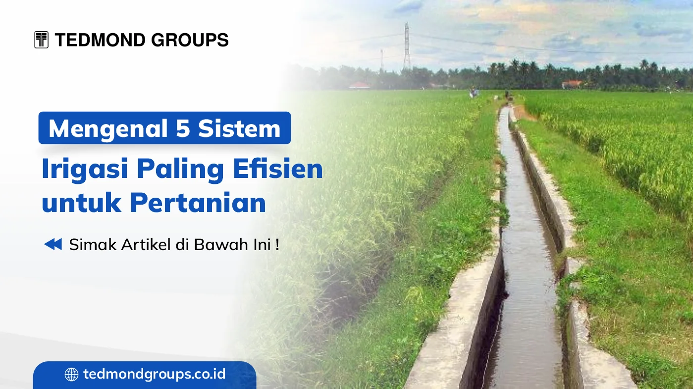 Mengenal 5 sistem irigasi paling efisien untuk pertanian
