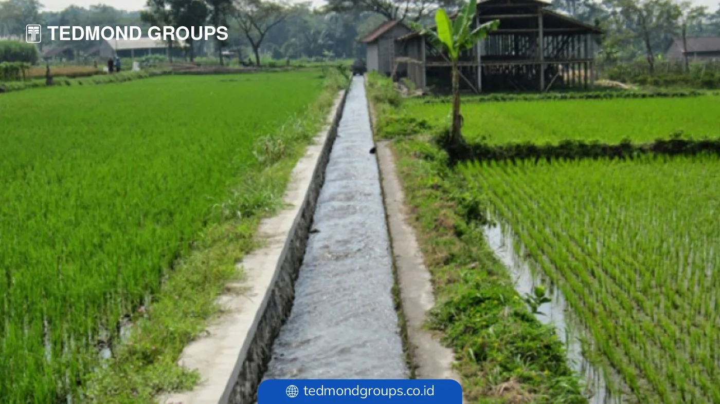 Pentingnya saluran irigasi