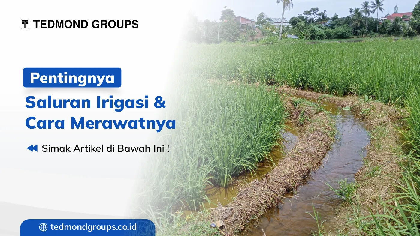 Pentingnya saluran irigasi & cara merawatnya