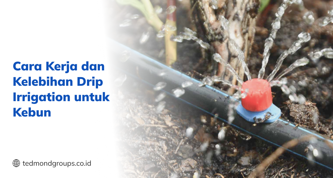 Cara kerja dan kelebihan drip irrigation untuk kebun