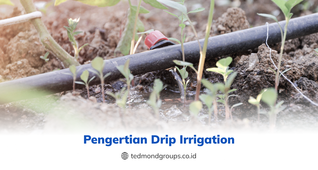 Pengertian drip irrigation