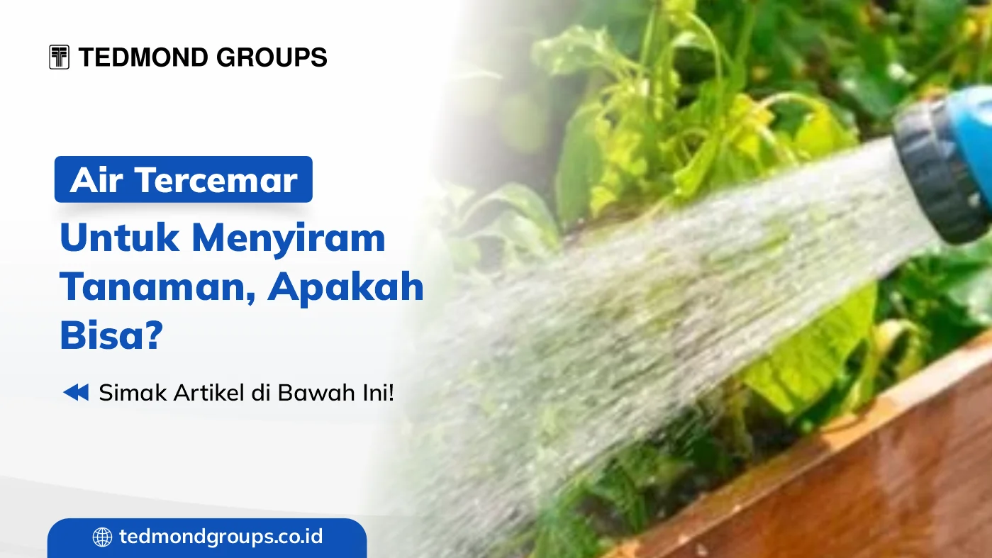 Air tercemar untuk tanaman