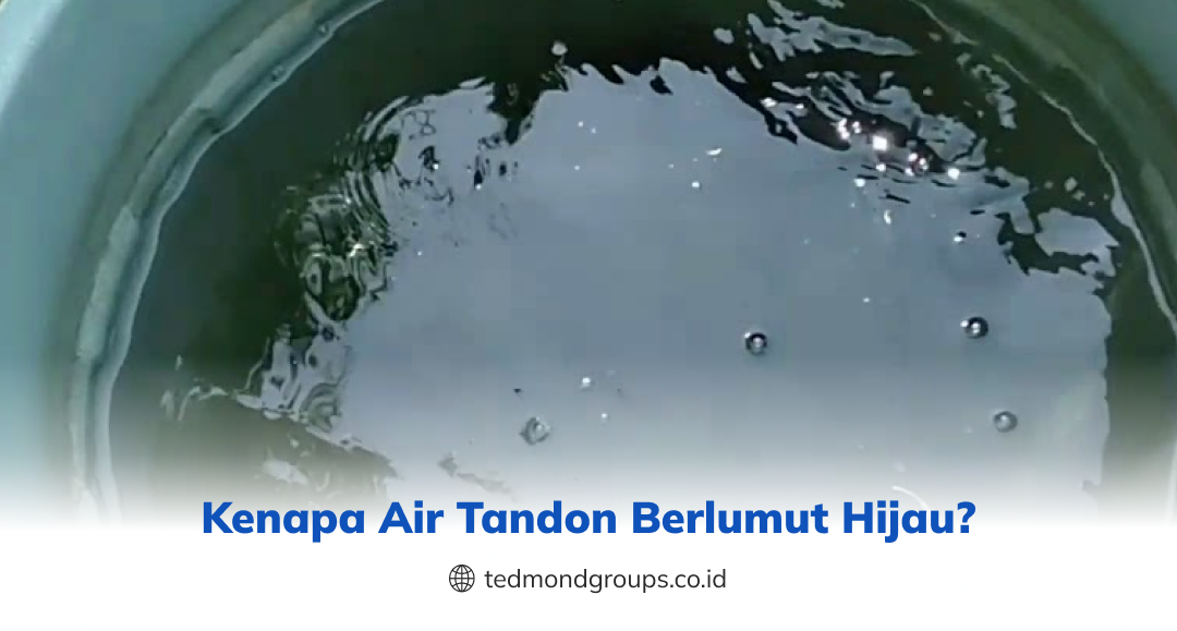 Kenapa air tandon berlumut hijau