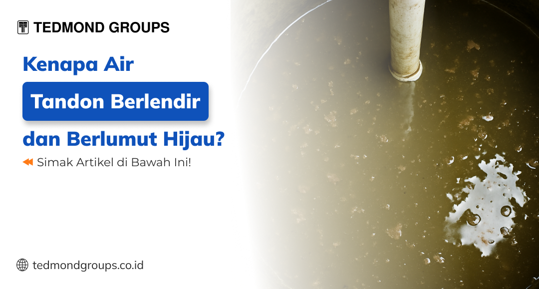 Kenapa air tandon berlendir dan berlumut hijau