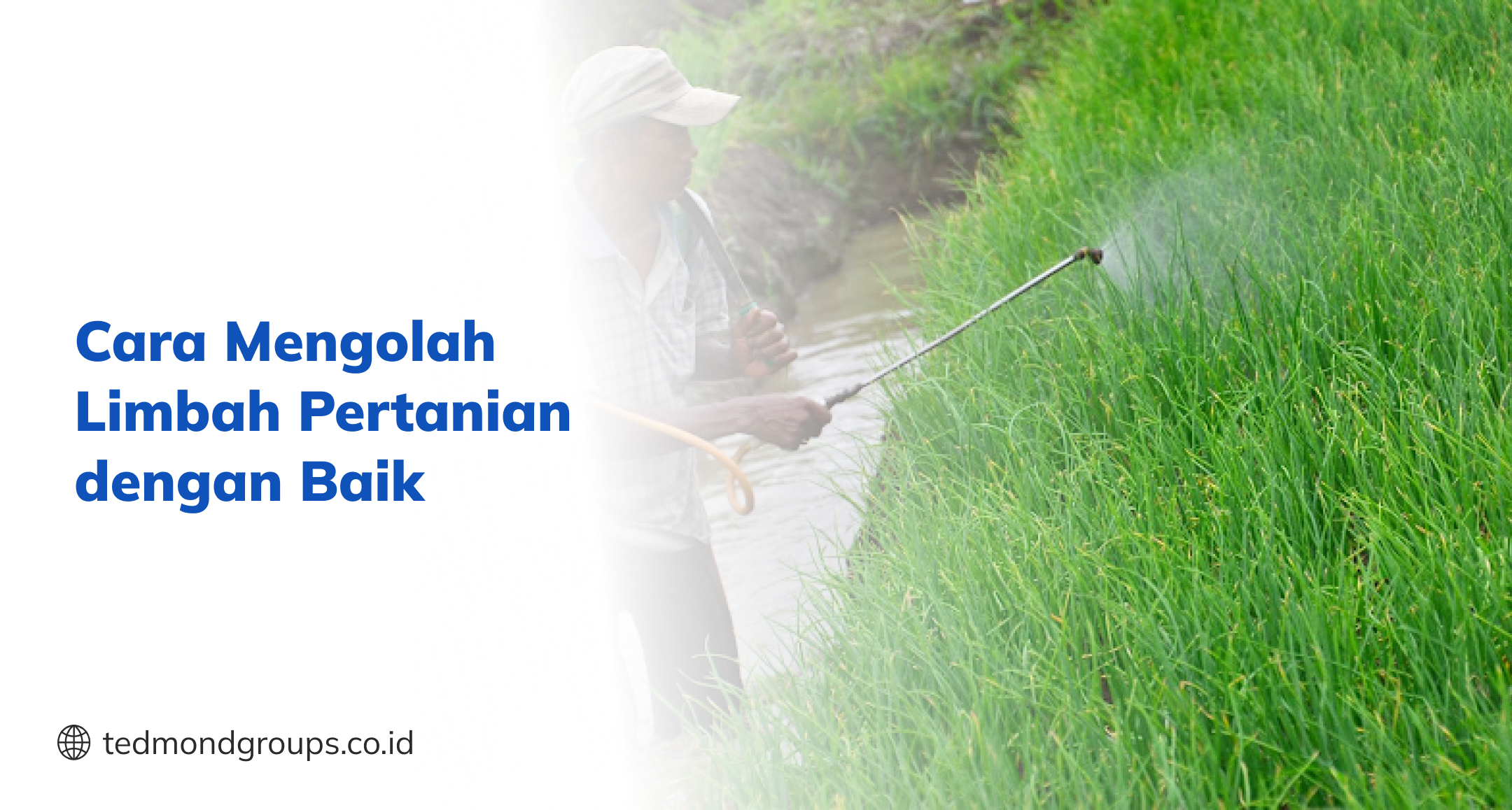 Cara Mengolah Limbah Pertanian dengan Baik