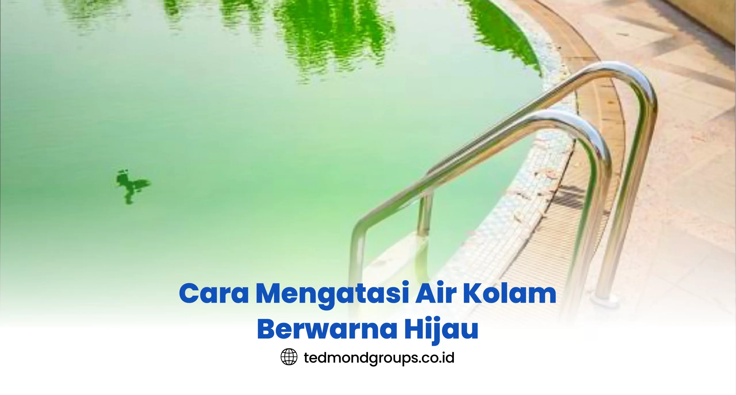 Cara Mengatasi Air Kolam Berwarna Hijau