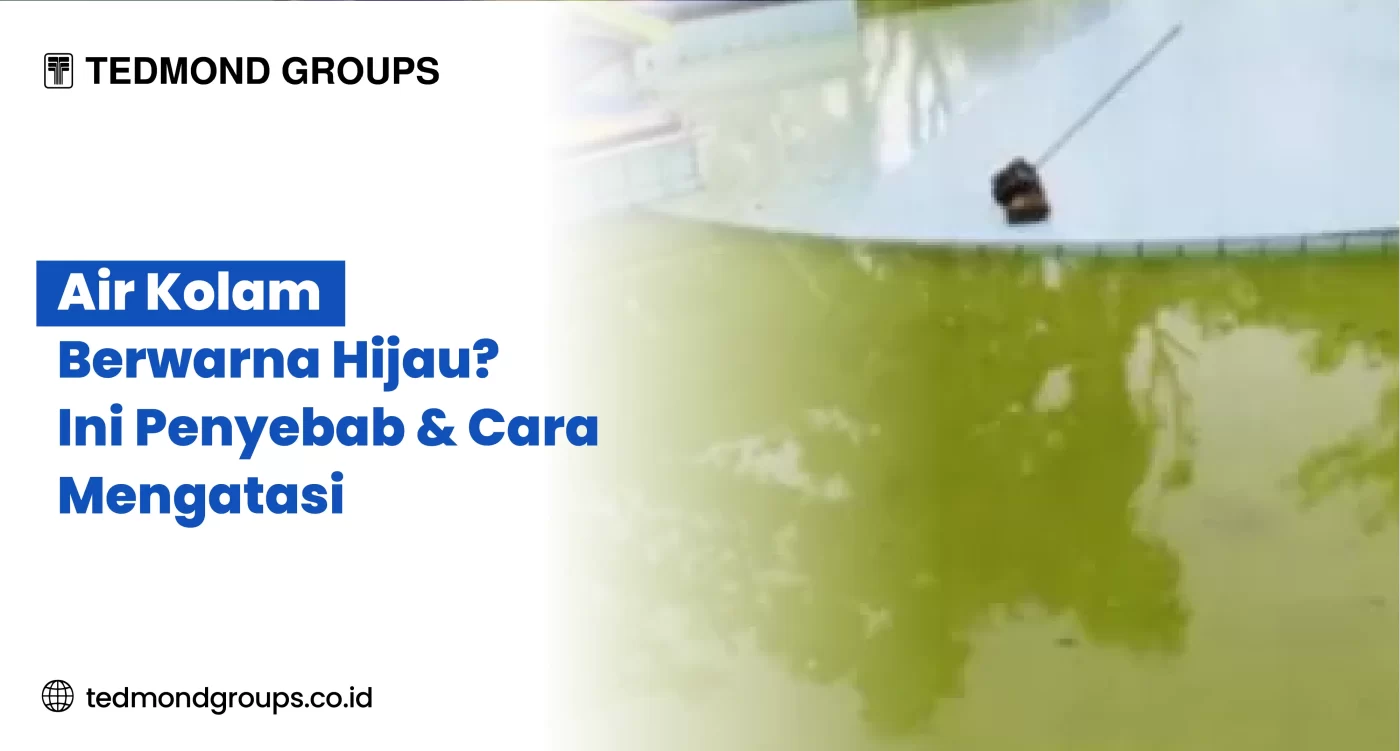 Air Kolam Berwarna Hijau Ini Penyebab & Cara Mengatasi