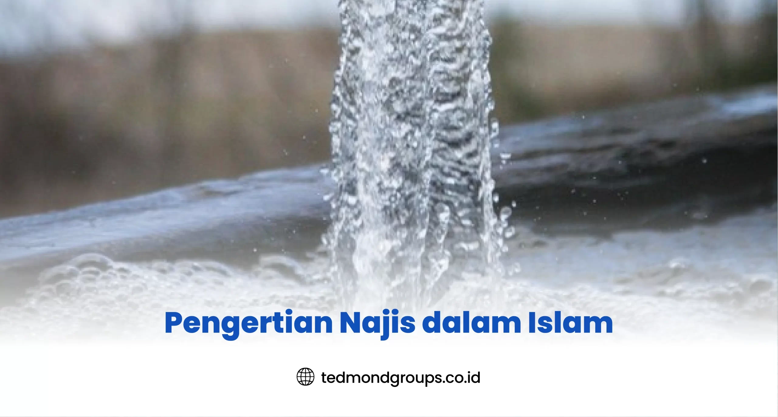 Pengertian Najis dalam Islam