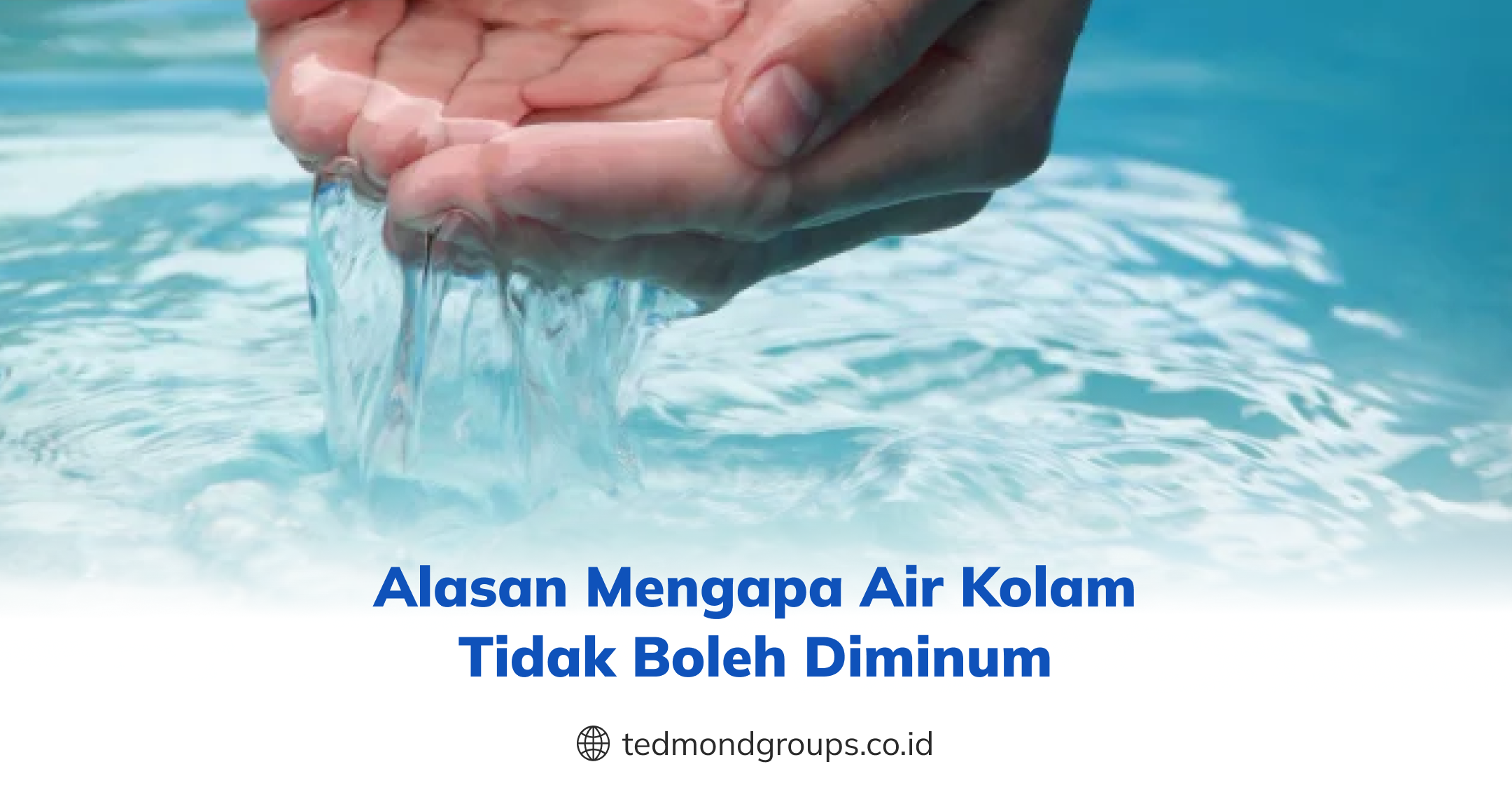 Alasan Mengapa Air Kolam Tidak Boleh Diminum