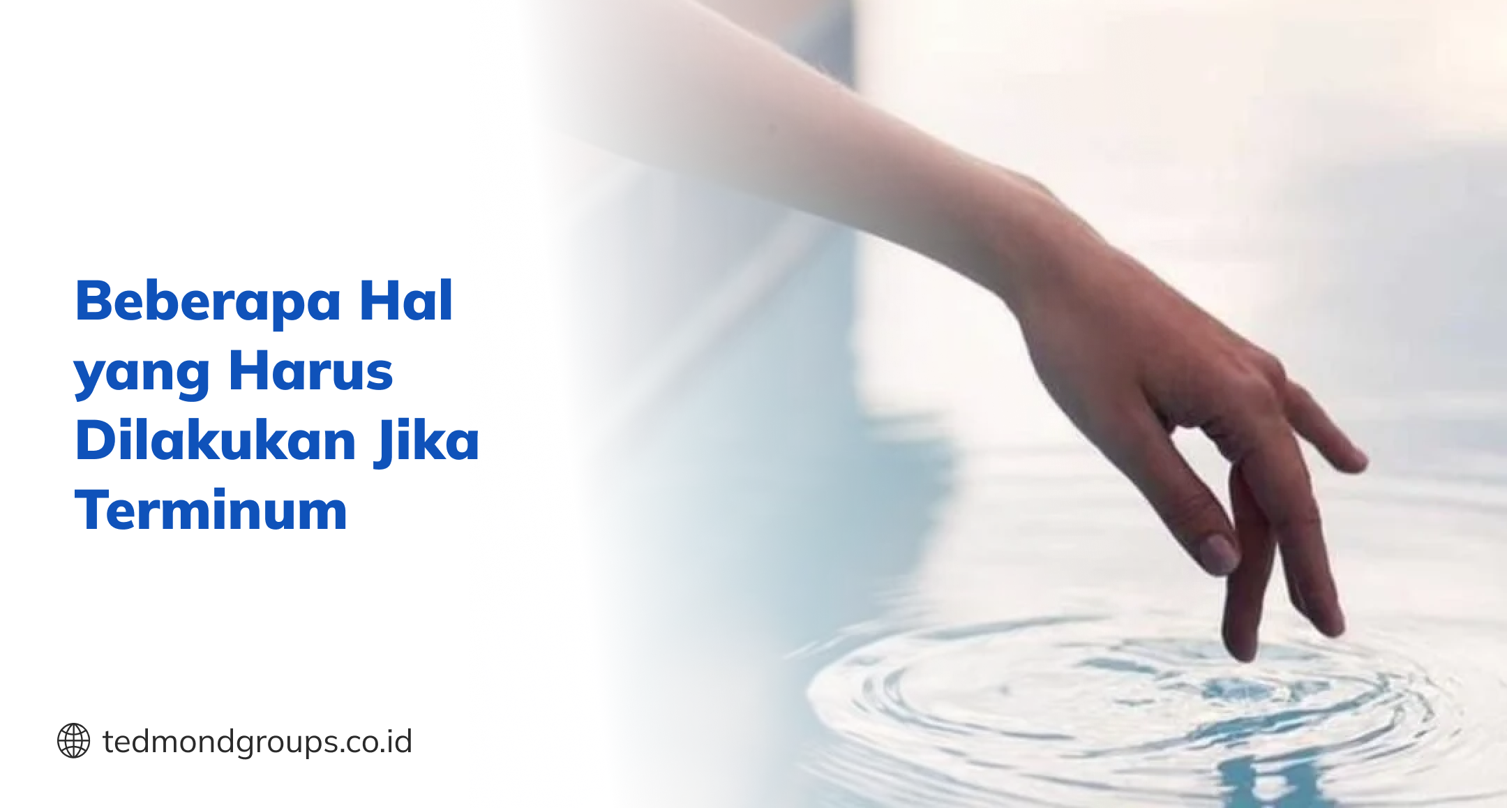Beberapa Hal yang Harus Dilakukan Jika Terminum