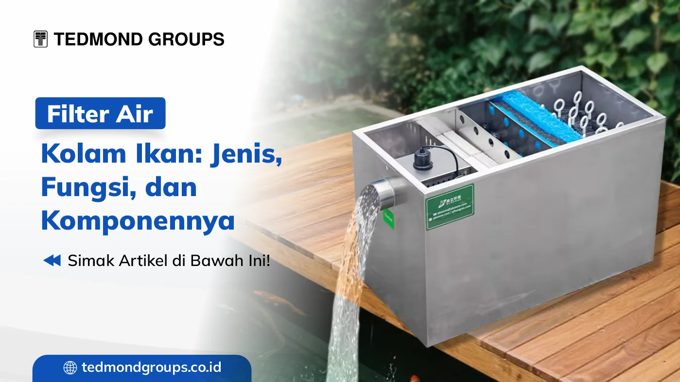 Filter Air Kolam Ikan Jenis, Fungsi, dan Komponennya