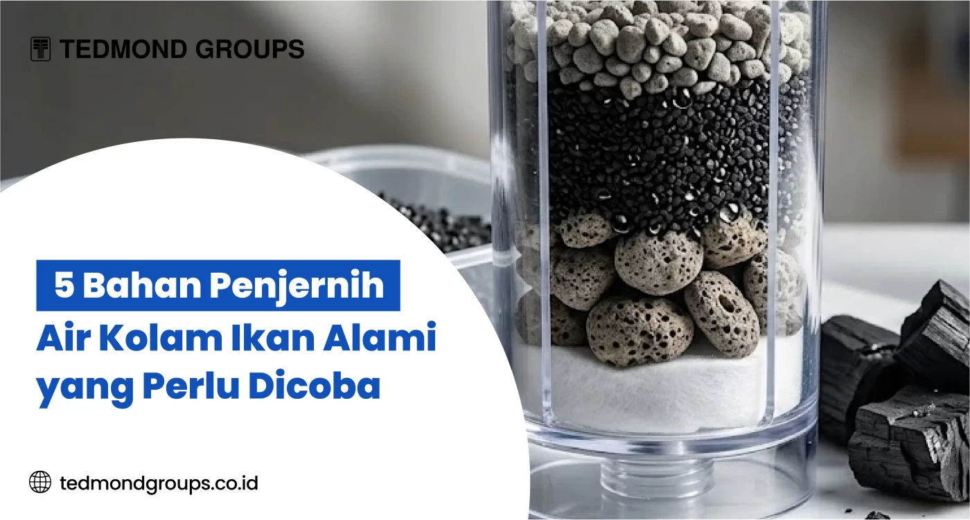 5 Bahan Penjernih Air Kolam Ikan Alami yang Perlu Dicoba