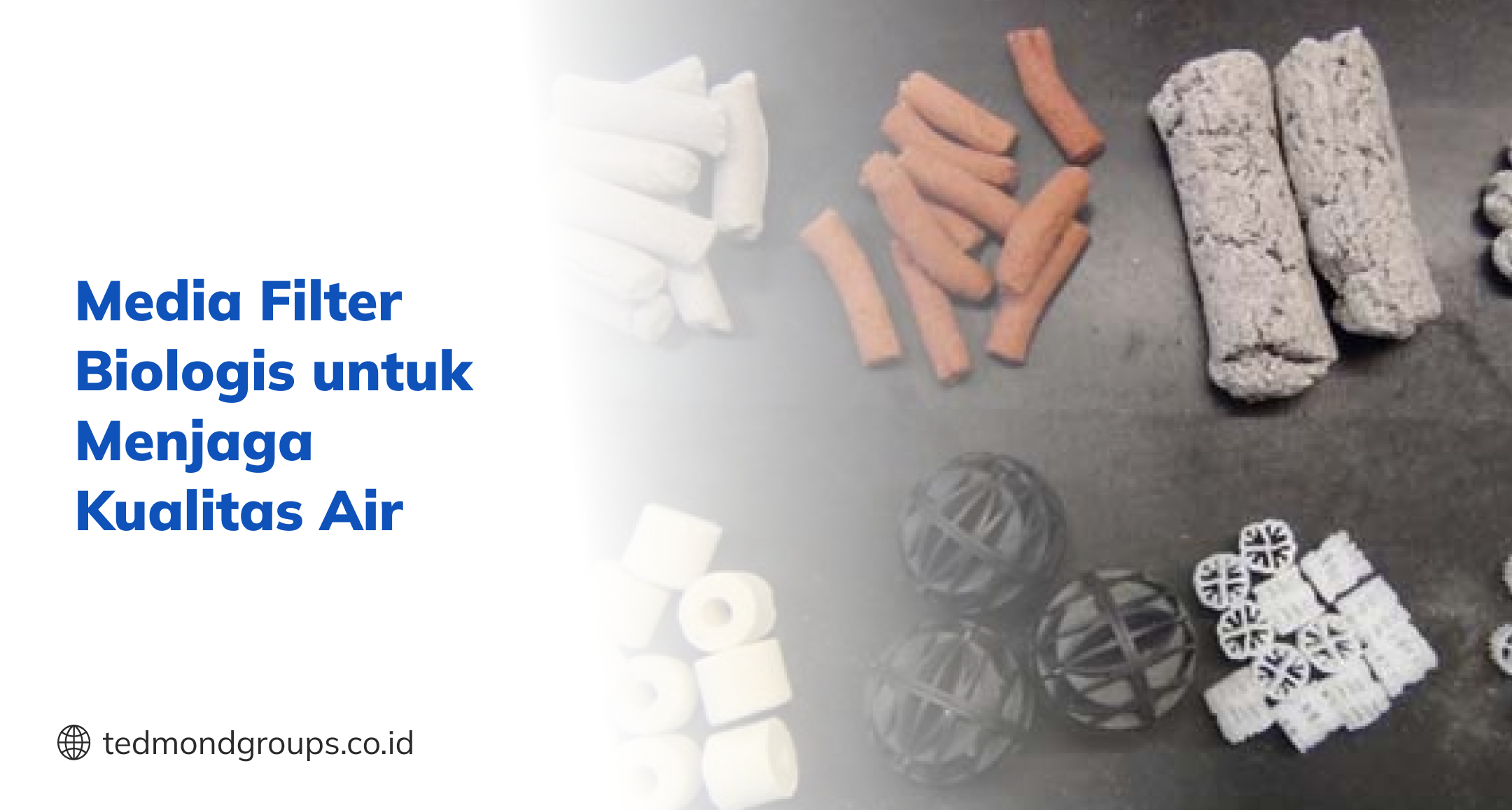 Media Filter Biologis untuk Menjaga Kualitas Air