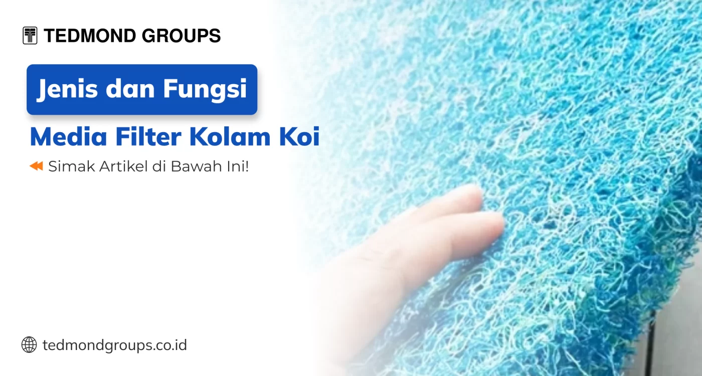 Jenis dan Fungsi Media Filter Kolam Koi