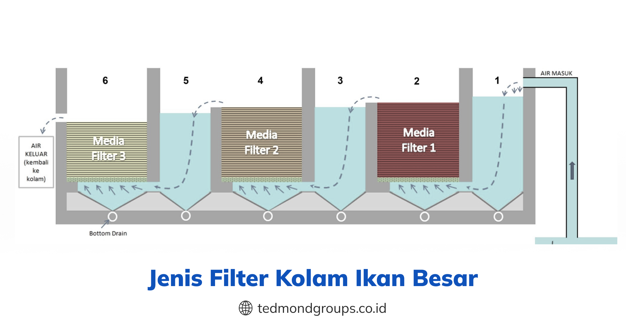Jenis Filter Kolam Ikan Besar