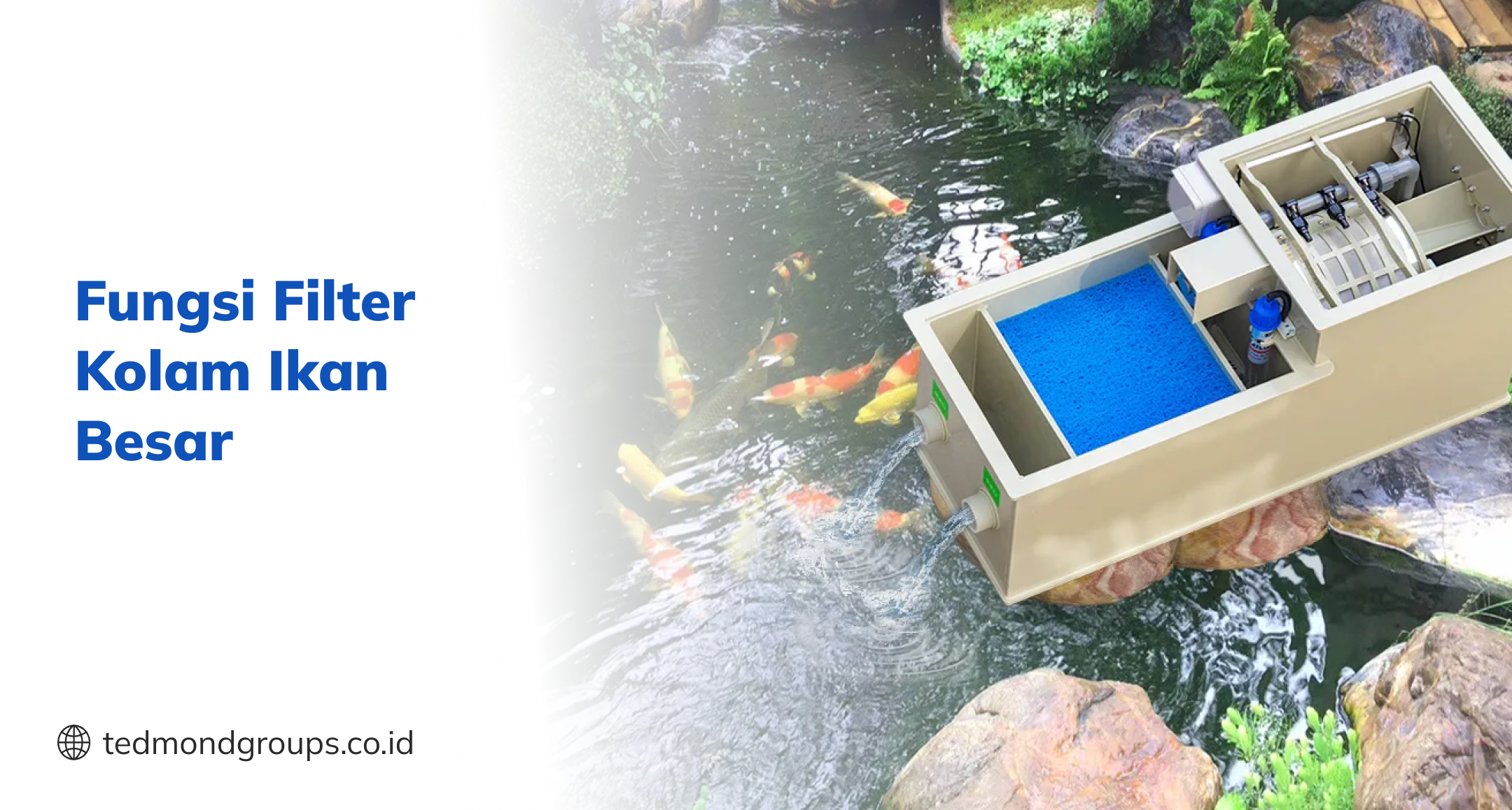 Fungsi Filter Kolam Ikan Besar