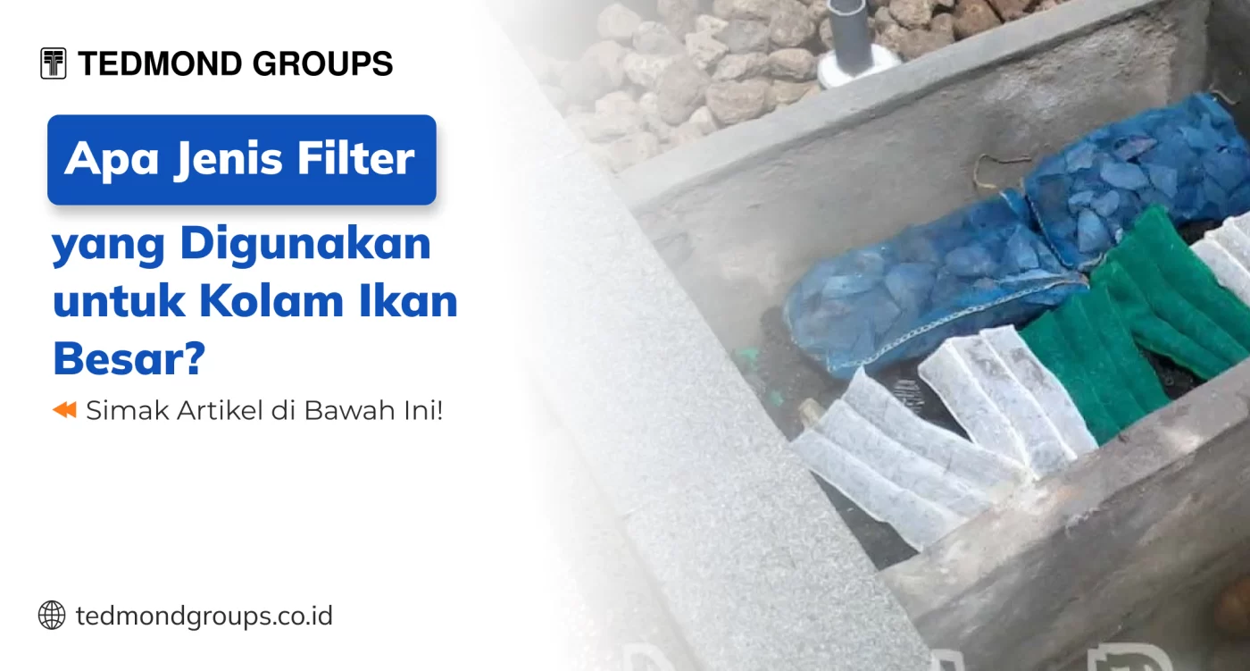 Apa Jenis Filter yang Digunakan untuk Kolam Ikan Besar