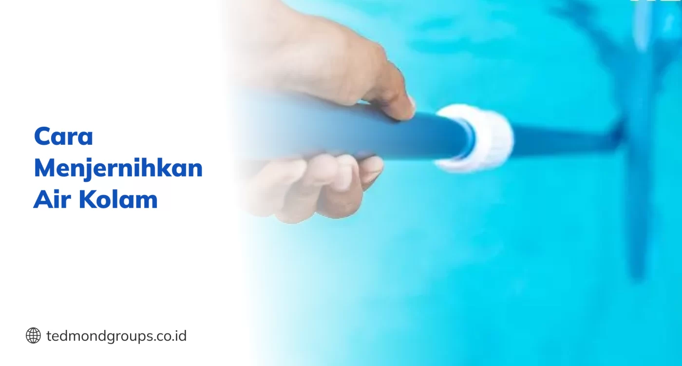 Cara Menjernihkan Air Kolam