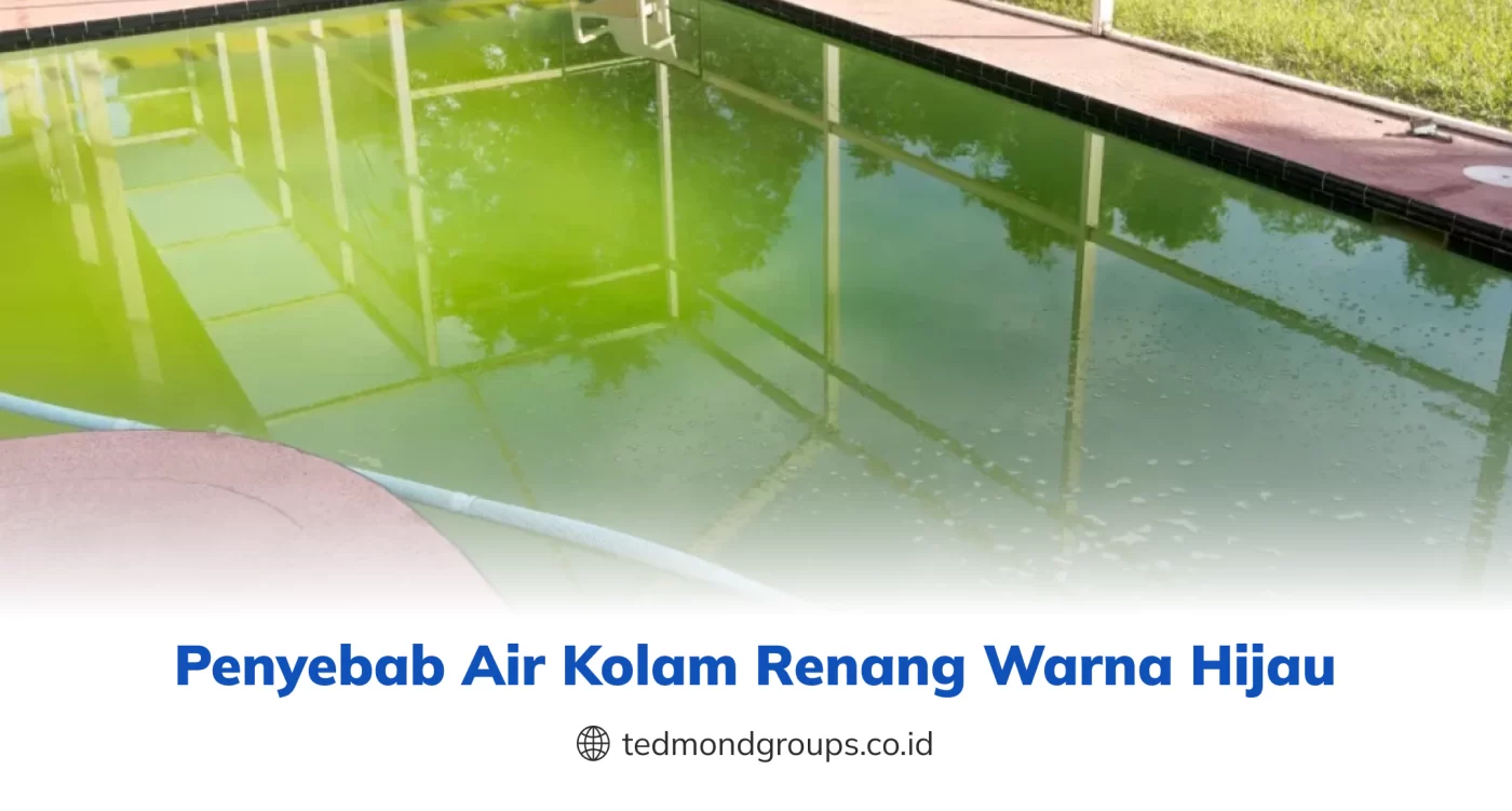 Penyebab Air Kolam Renang Warna Hijau