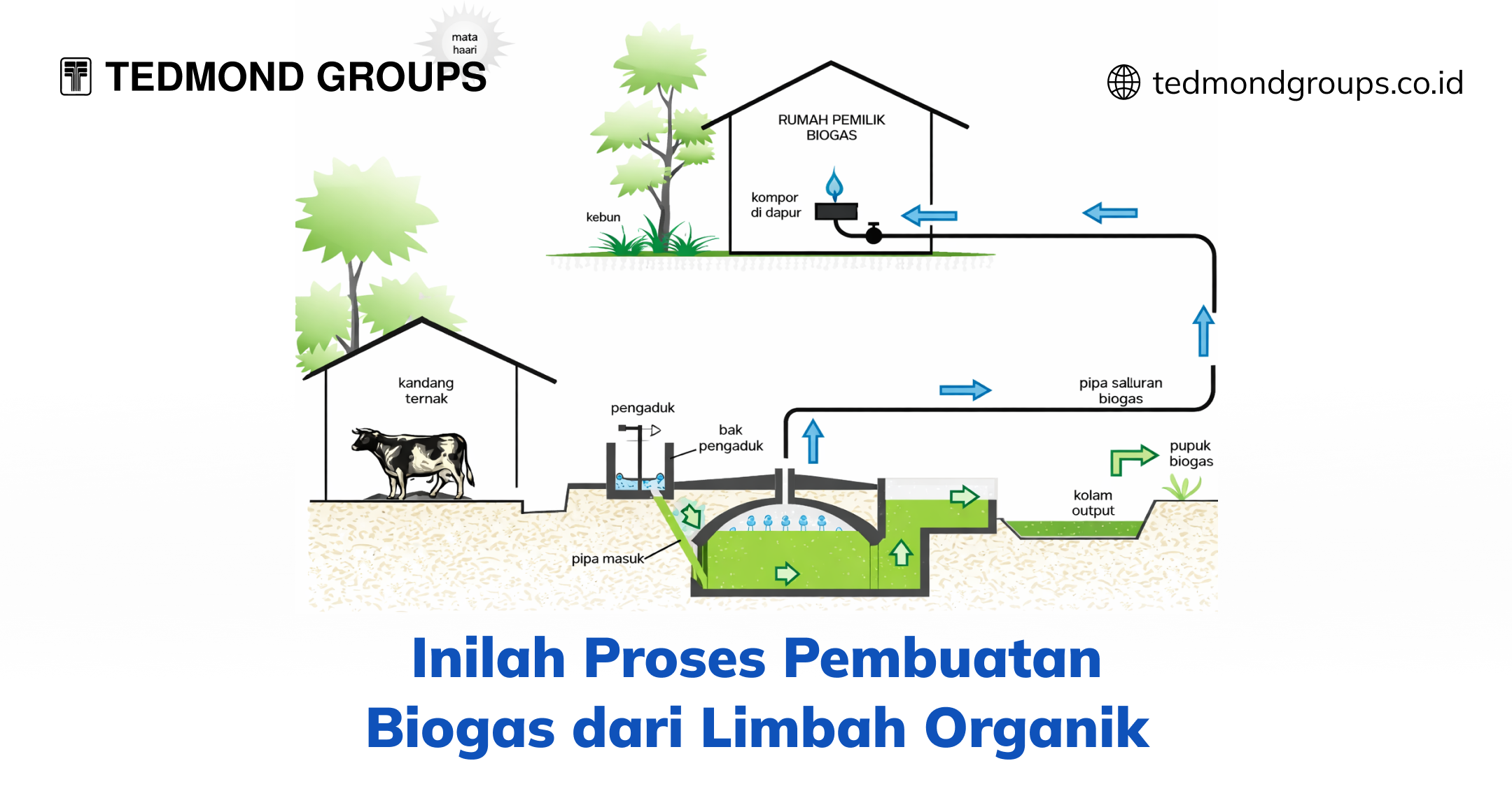 Inilah Proses Pembuatan Biogas dari Limbah Organik