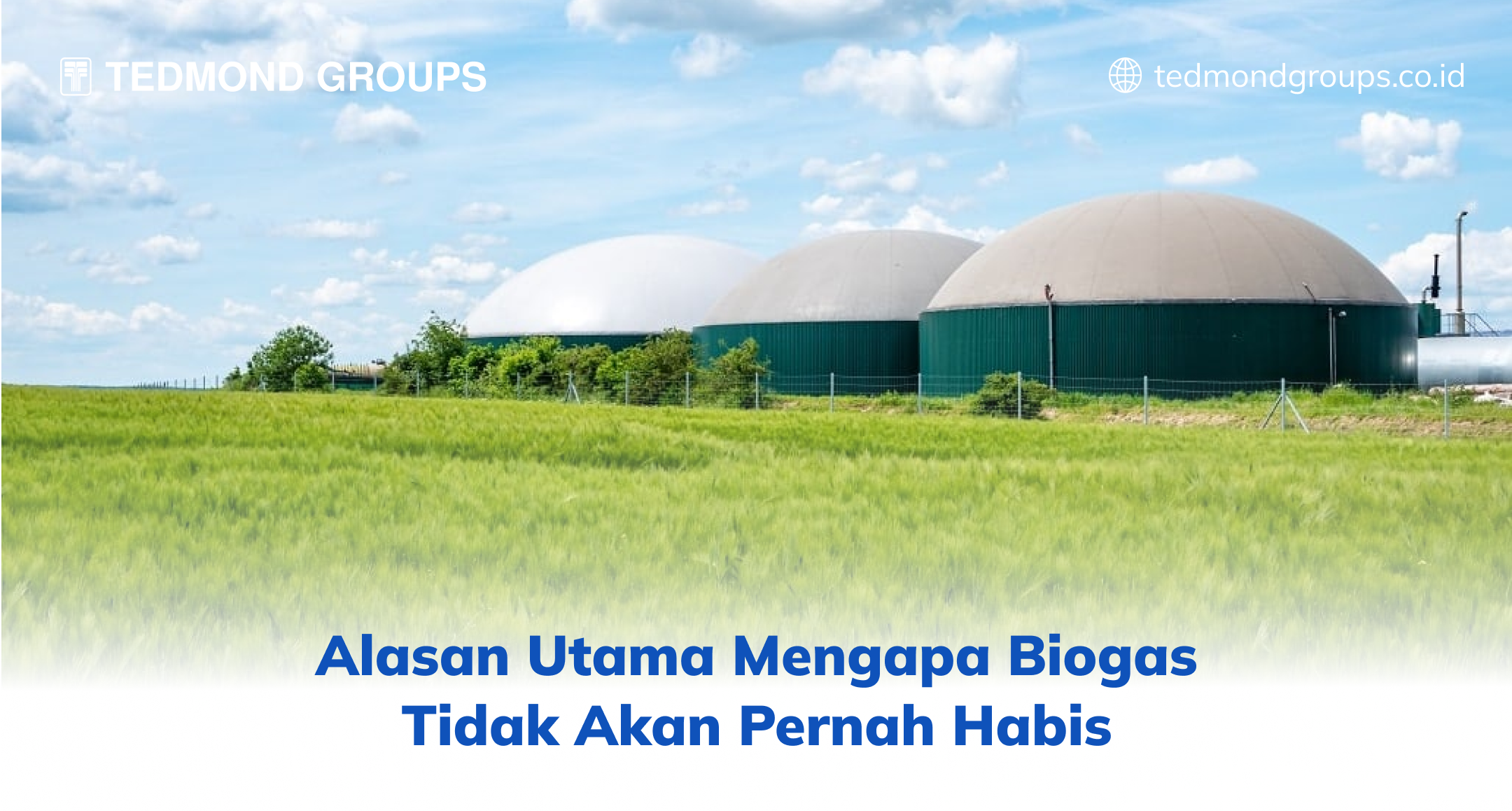 Alasan Utama Mengapa Biogas Tidak Akan Pernah Habis (2)