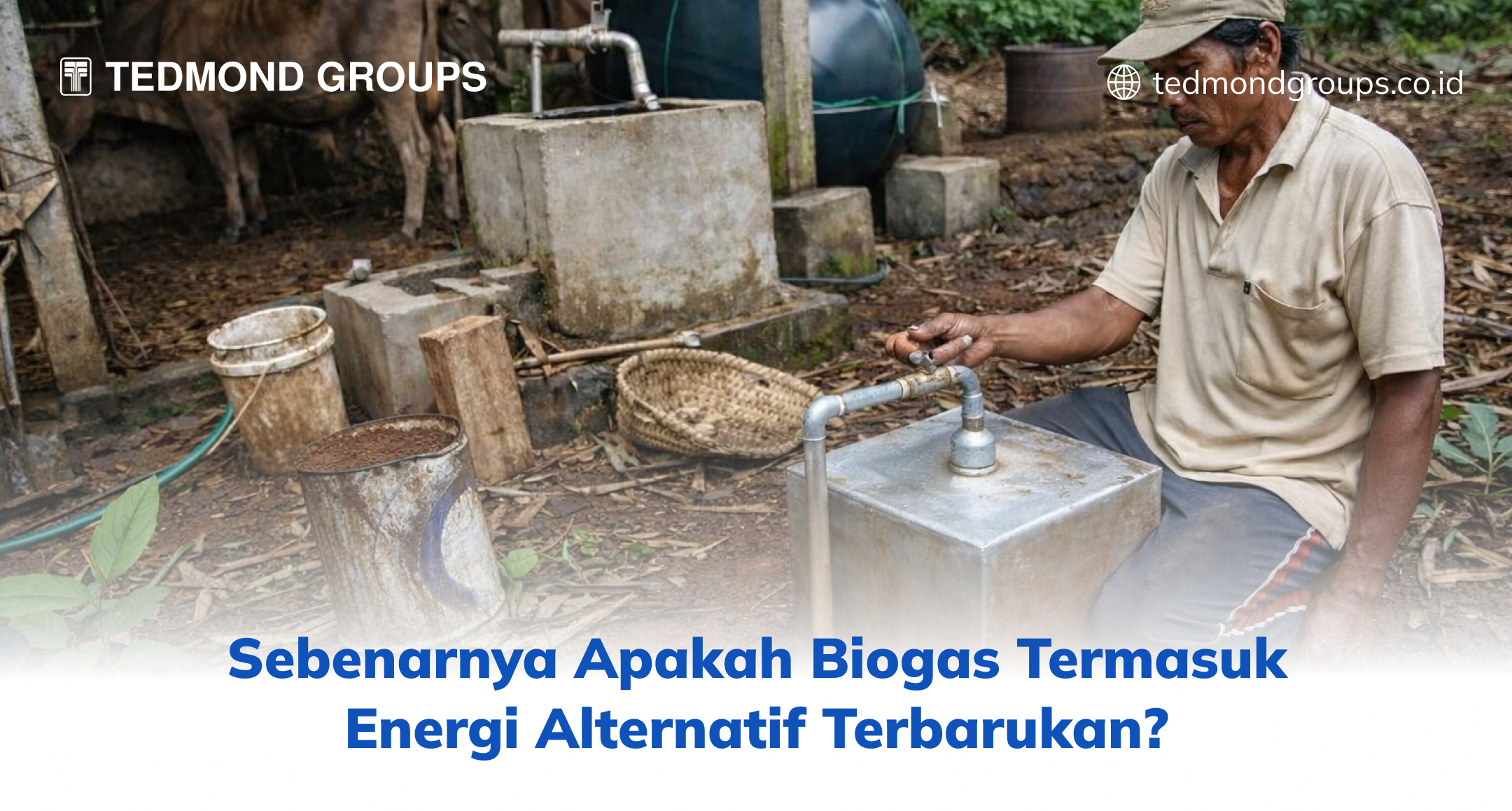 Sebenarnya Apakah Biogas Termasuk Energi Alternatif Terbarukan