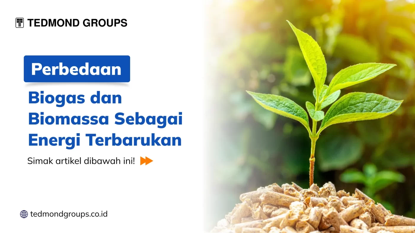 Perbedaan Biogas dan Biomassa Sebagai Energi Terbarukan