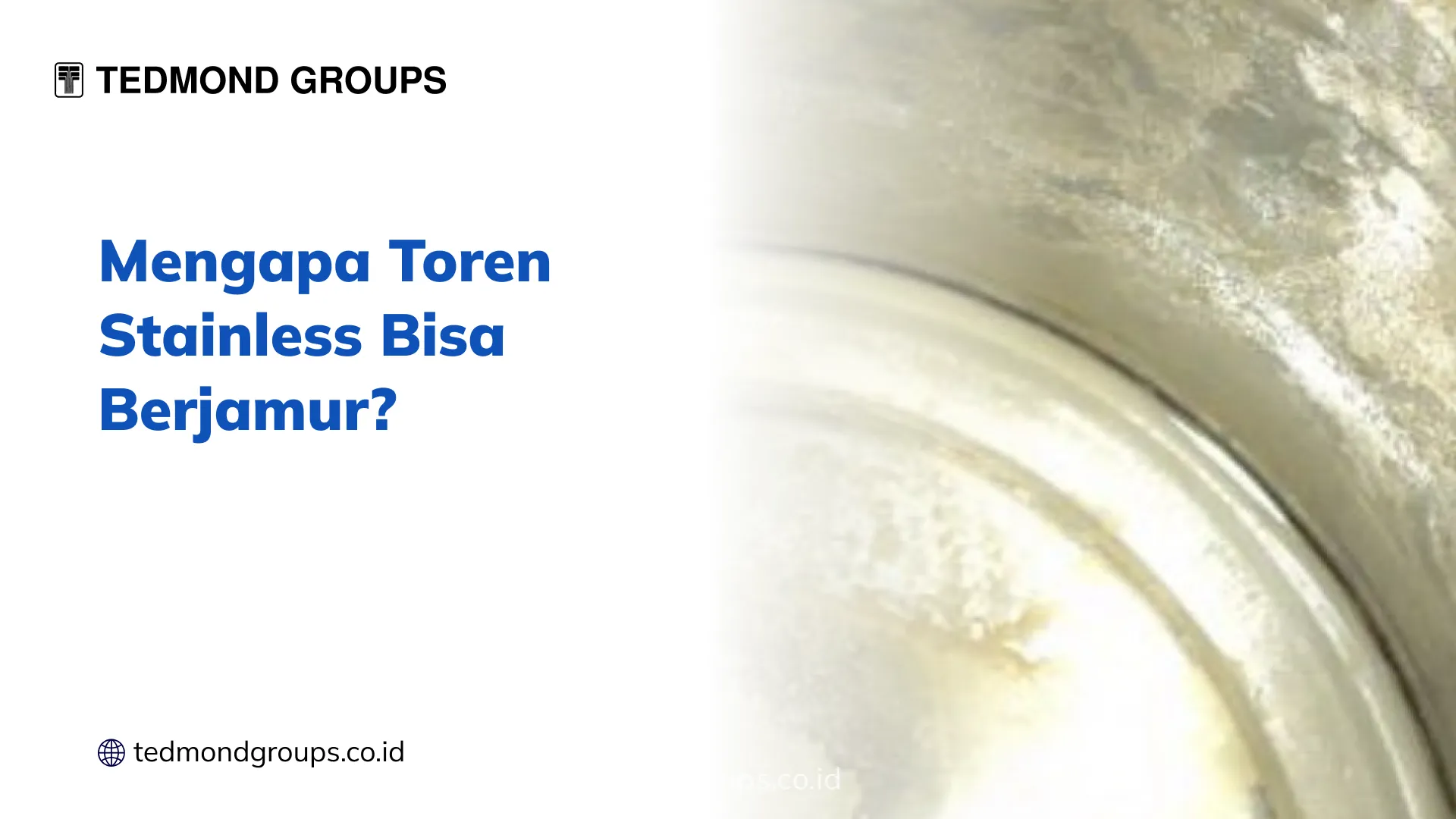 Mengapa Toren Stainless Bisa Berjamur