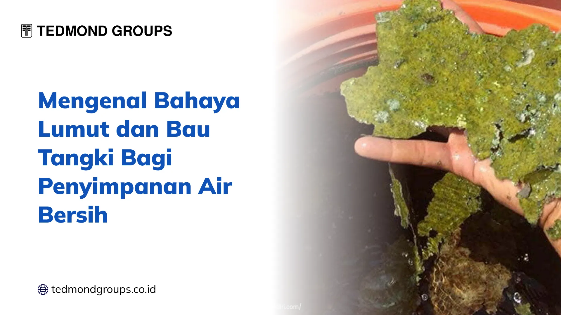 Mengenal Bahaya Lumut dan Bau Tangki Bagi Penyimpanan Air Bersih