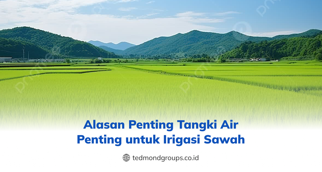Alasan Penting Tangki Air Penting untuk Irigasi Sawah
