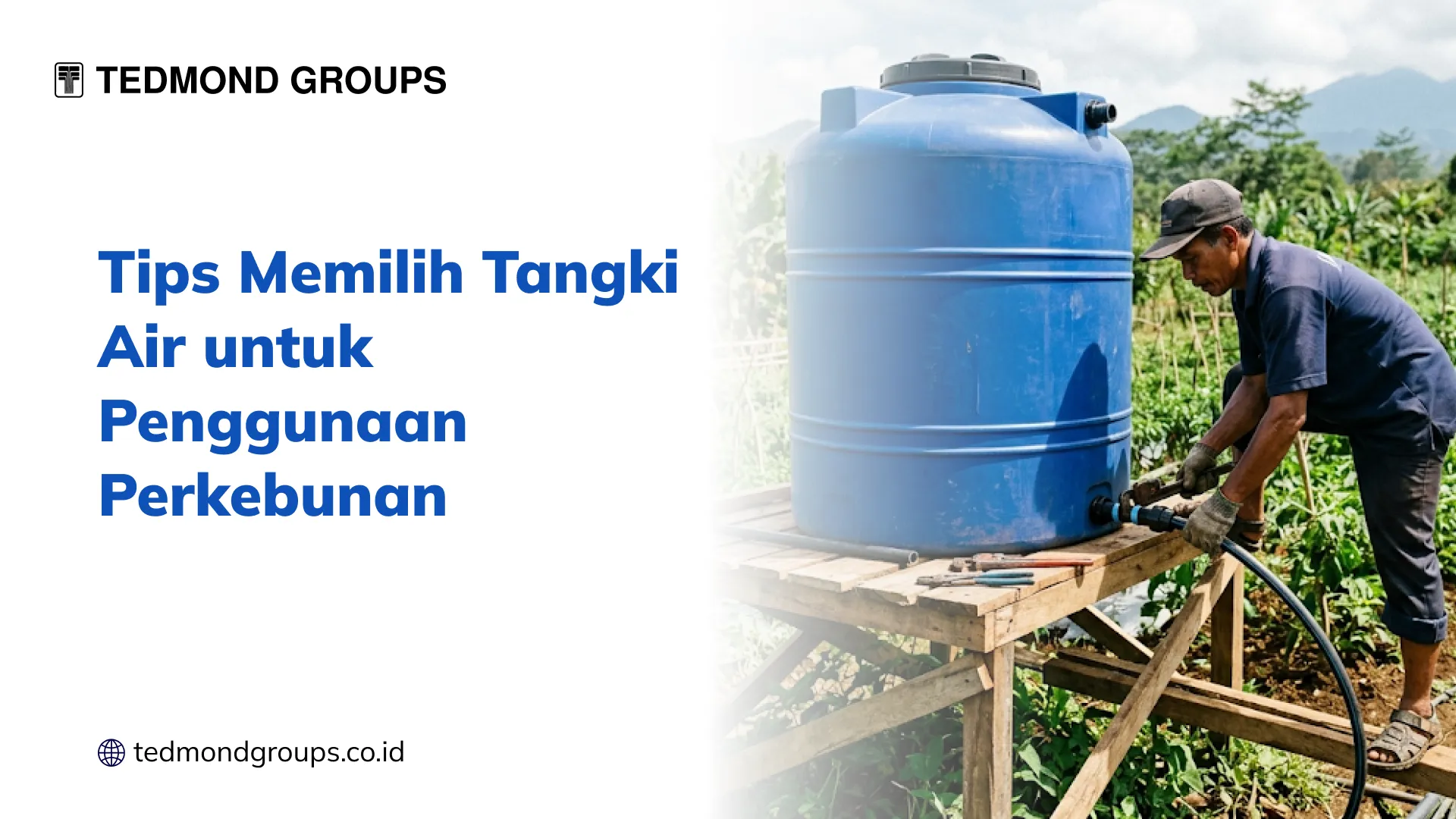 Tips Memilih Tangki Air untuk Penggunaan Perkebunan