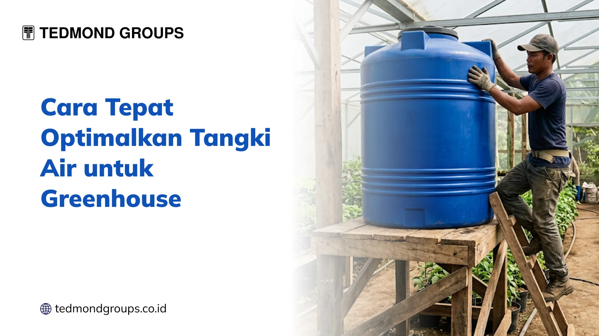 Cara Tepat Optimalkan Tangki Air untuk Greenhouse