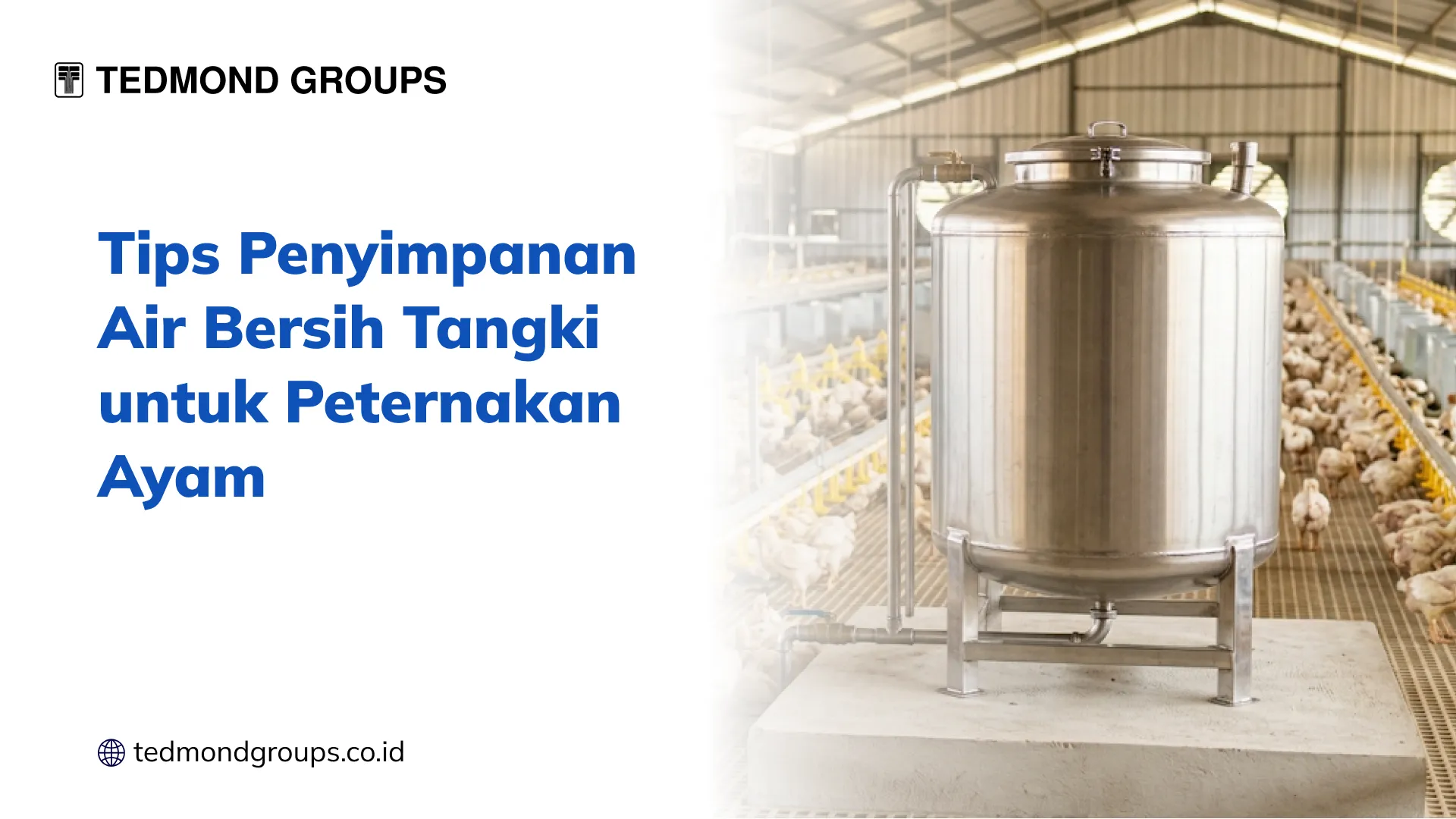 Tips Penyimpanan Air Bersih Tangki untuk Peternakan Ayam