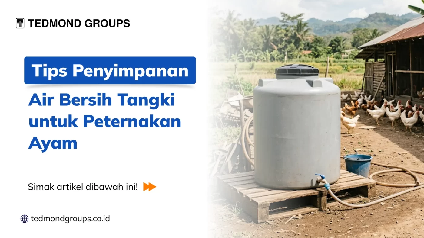 Tips Penyimpanan Air Bersih Tangki untuk Peternakan Ayam