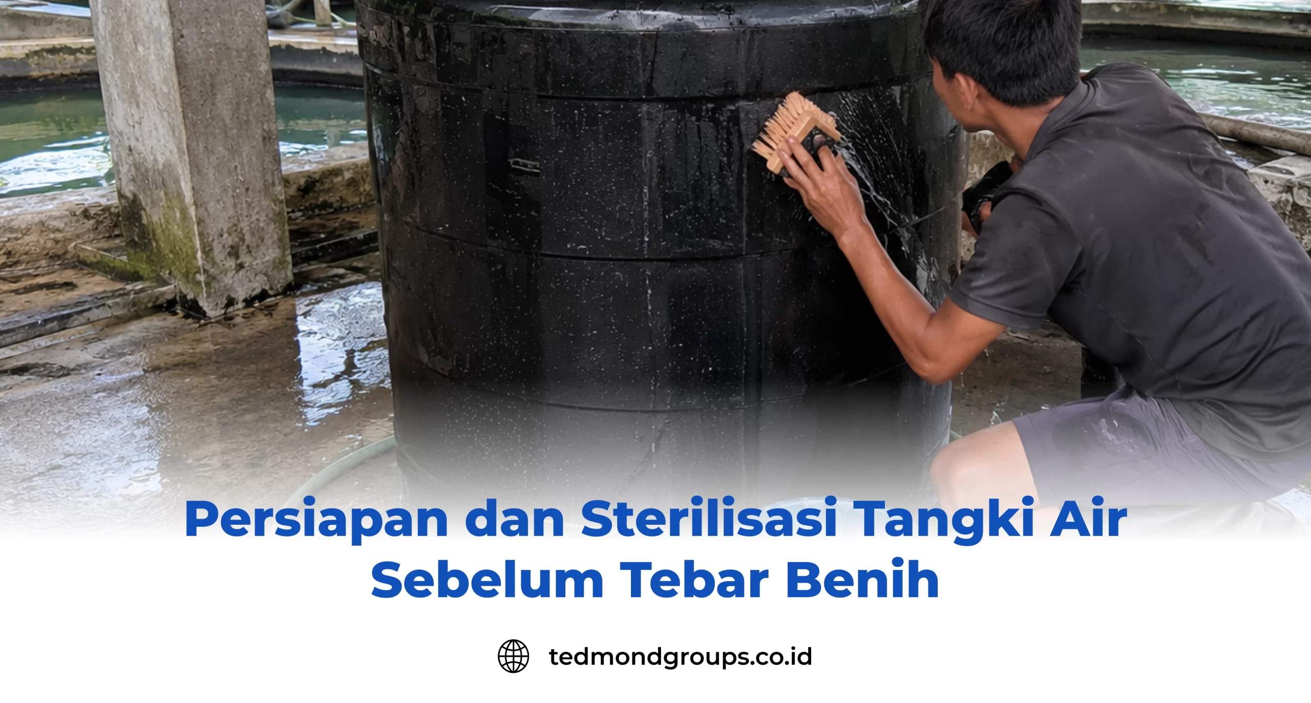 Persiapan dan Sterilisasi Tangki Air Sebelum Tebar Benih