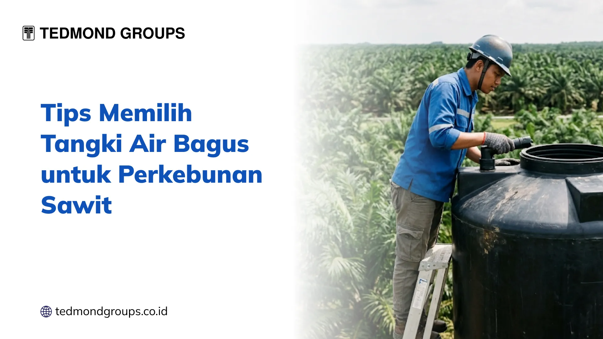 Tips Memilih Tangki Air Bagus untuk Perkebunan Sawit