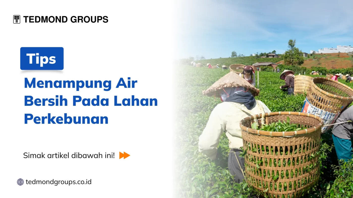 Menampung Air Perkebunan