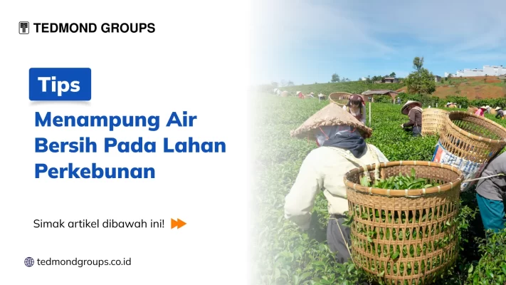 Menampung Air Perkebunan