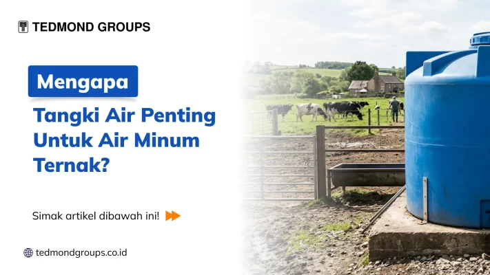 Mengapa Tangki Air Penting Untuk Air Minum Ternak