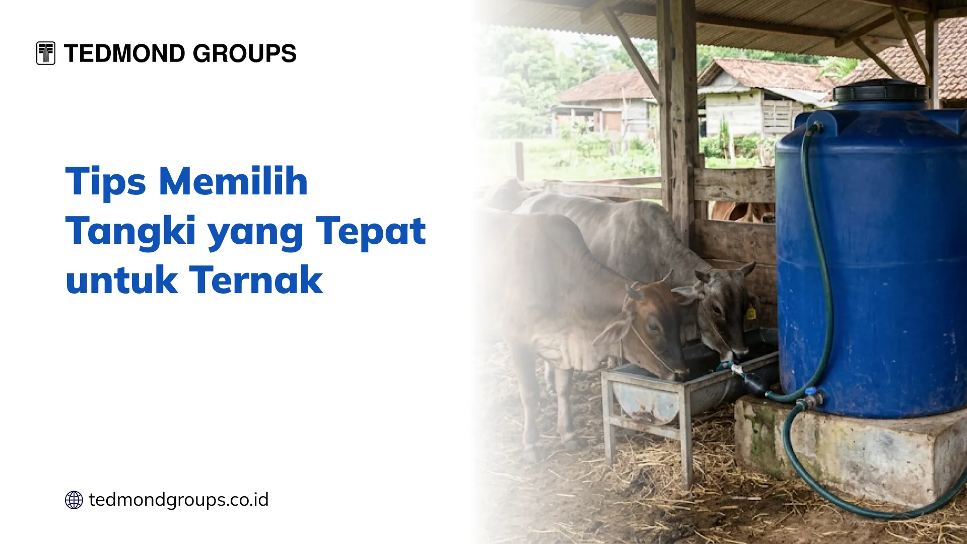 Tips Memilih Tangki yang Tepat untuk Ternak