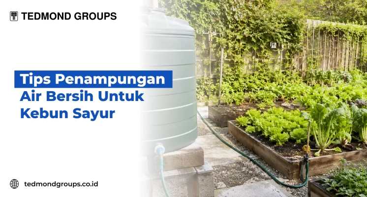 Tips Penampungan Air Bersih Untuk Kebun Sayur