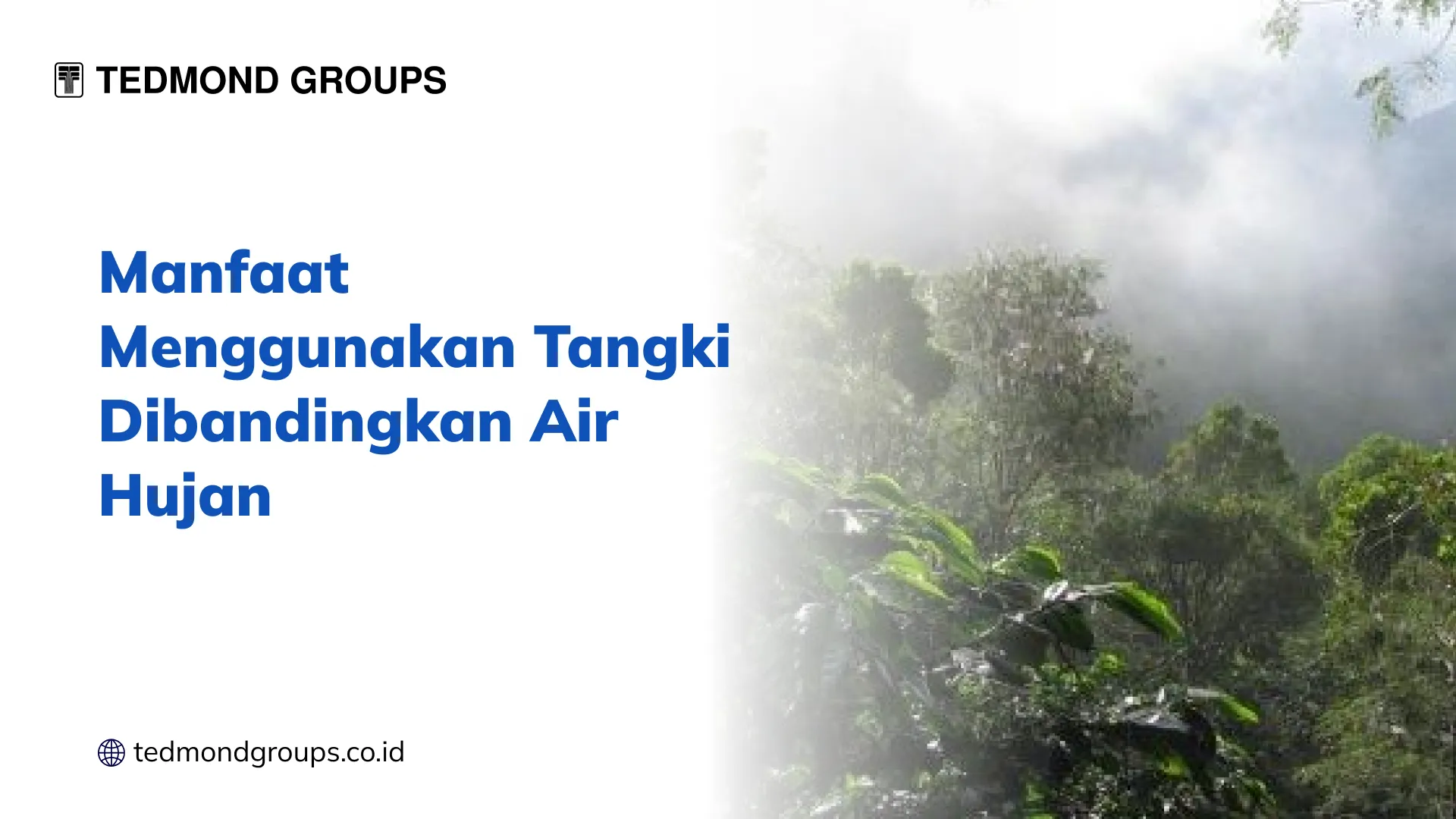 Manfaat Menggunakan Tangki Dibandingkan Air Hujan
