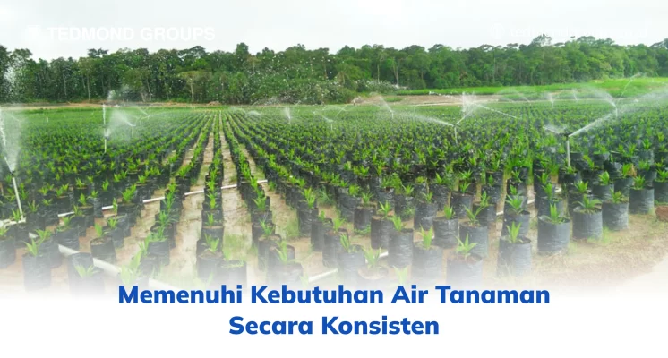 Memenuhi Kebutuhan Air Tanaman Secara Konsisten
