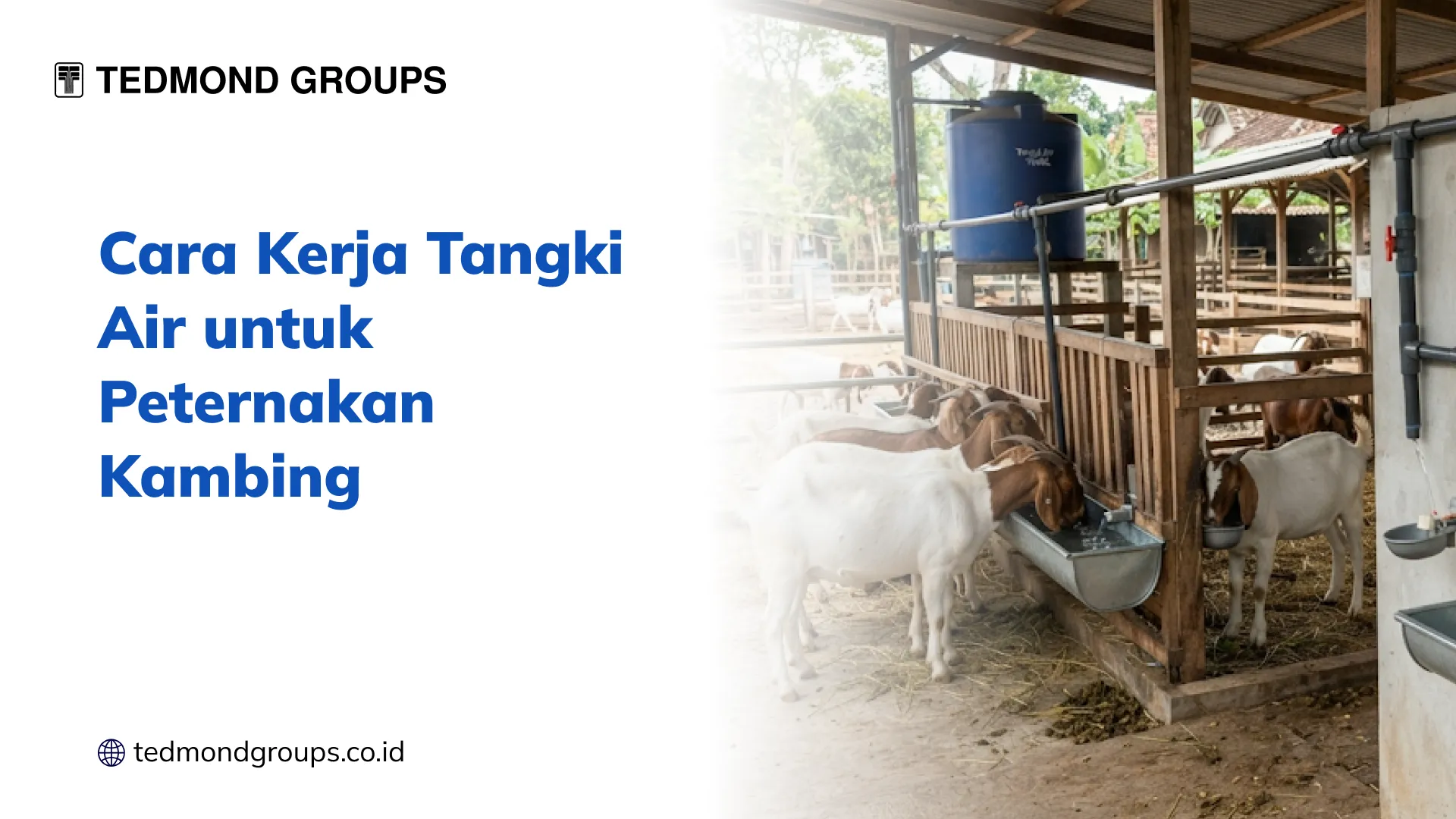 Cara Kerja Tangki Air untuk Peternakan Kambing