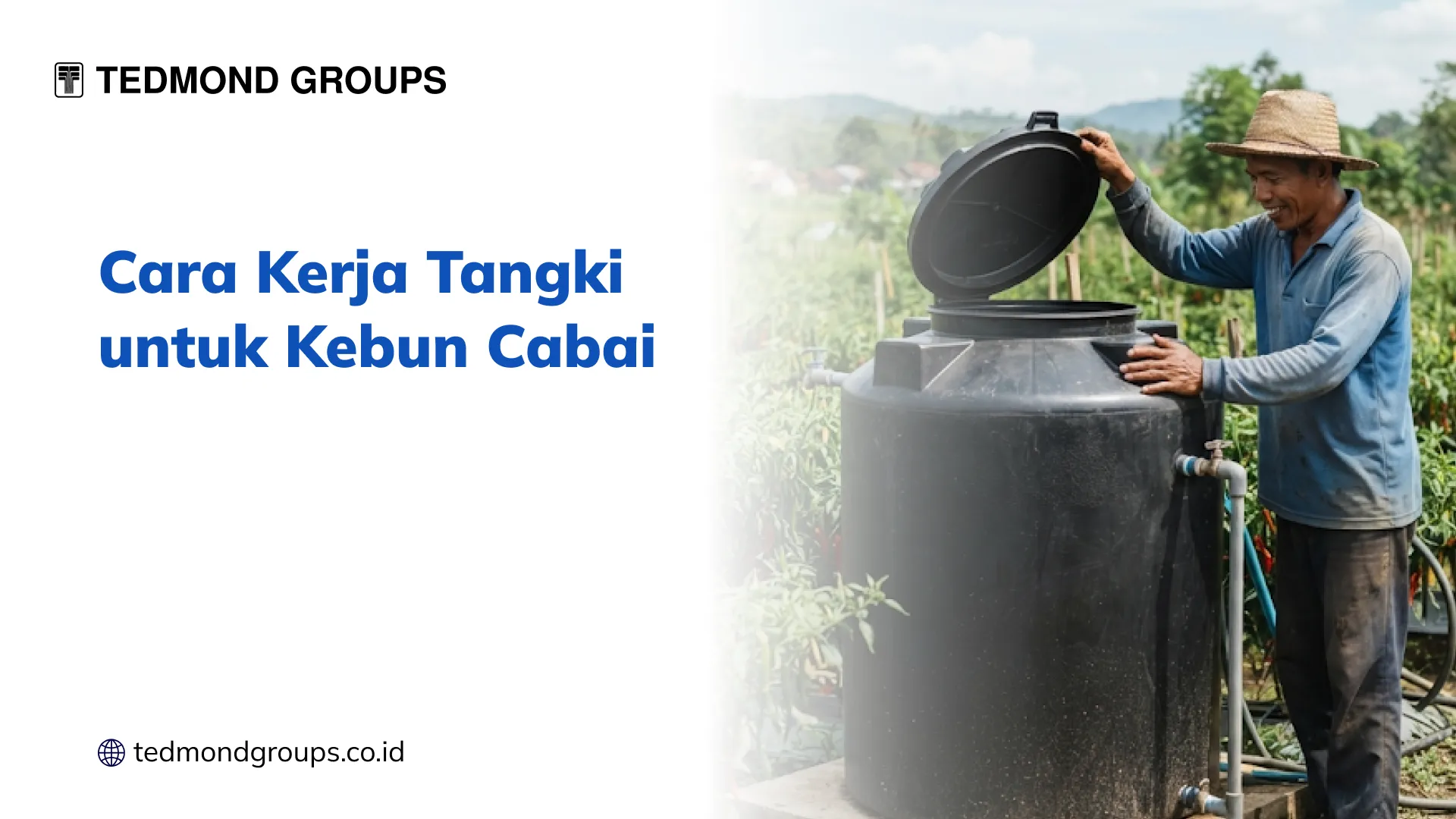 Cara Kerja Tangki untuk Kebun Cabai